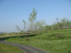 DSC02355